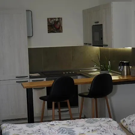 Apartment Hofmann Cheb