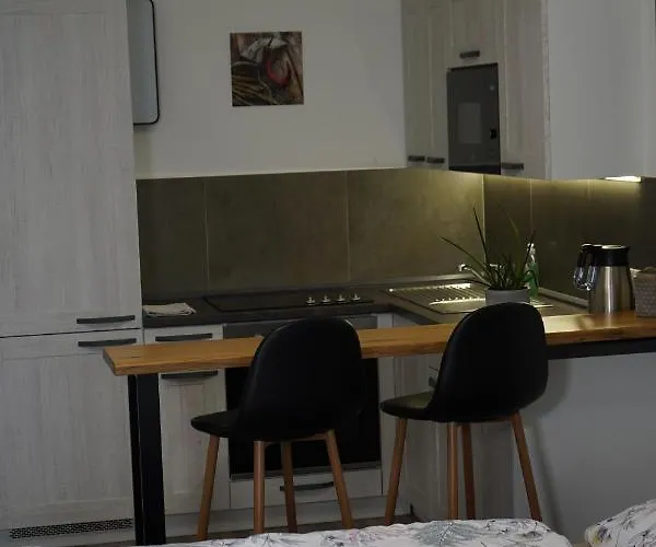 Apartamento Hofmann Cheb